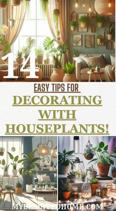 four different houseplants with text overlay that says 4 easy tips for decorating with houseplants