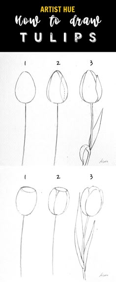 how to draw tulips step by step