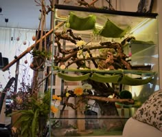 a glass case filled with lots of different types of plants and branches in it's display