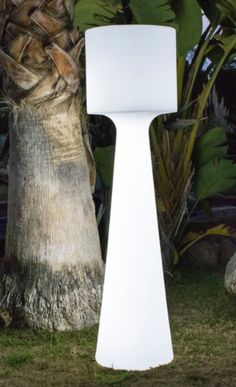 a tall white object sitting next to a palm tree in the middle of a yard