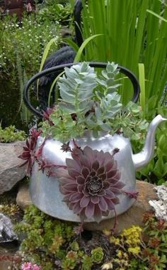 a metal tea pot filled with plants on top of a pile of rocks and gravel