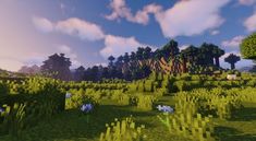 an image of some trees and bushes in the middle of a field with blue sky