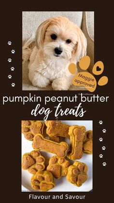 an advertisement for pumpkin peanut butter dog treats with a photo of a puppy sitting next to it