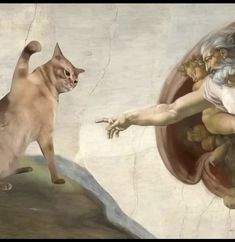 a cat standing on top of a painting next to a man's hand with the creation of adam