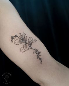 Herbs and roots tattoo on an inner bicep. Flower Tattoo With Roots, Plant Roots Tattoo, Flower Roots Tattoo, Flower With Roots Tattoo, Roots Tattoo Ideas, Roots Tattoo, Vegan Tattoo, Poppies Tattoo, Plant Tattoo