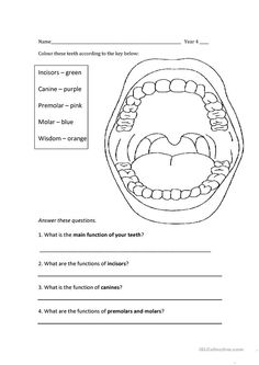 an animal's mouth is shown in this worksheet