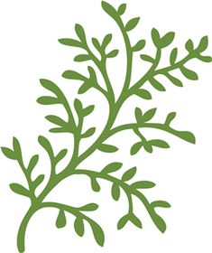 a plant with green leaves is shown on a white background in this image there's an illustration of a branch that looks like it has been cut out of