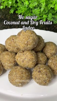 no sugar coconut and dry fruits ladoo on a white plate with green plants in the background