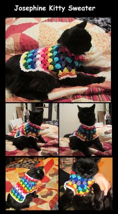 a black cat wearing a colorful sweater on top of a bed