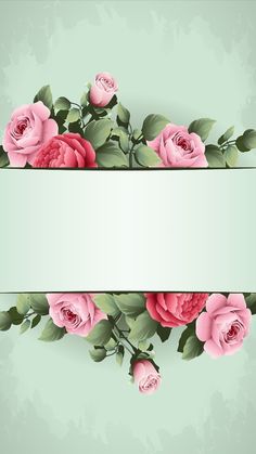 pink roses with green leaves on a light green background