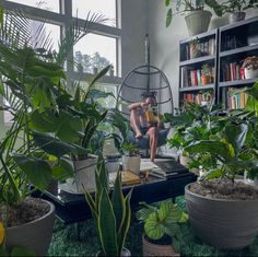 a man sitting in a birdcage surrounded by potted plants and greenery