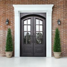 two potted plants on either side of the front door