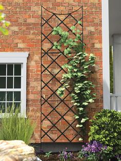 a brick building with a trellis on the side and plants growing out of it