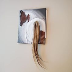 a horse's tail is hanging on the wall next to a framed photo with it's hair sticking out