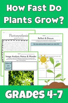 an image of plants and flowers with text reading how fast do plants grow? grade 4 - 7