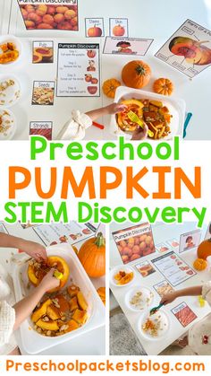 November Science Kindergarten, Preschool Teacher Ideas, Preschool Pumpkin Science, Pumpkin Themed Activities, Pumpkin Life Cycle Craft, Pumpkin Activities Kindergarten, Pumpkin Science Activities, Kindergarten Pumpkin, Preschool Autumn