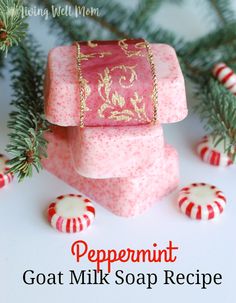 peppermint goat milk soap recipe with candy canes and pine cones on the side