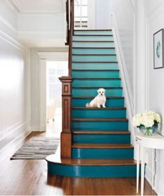 a dog is sitting on the blue stairs in this house with white walls and wood floors