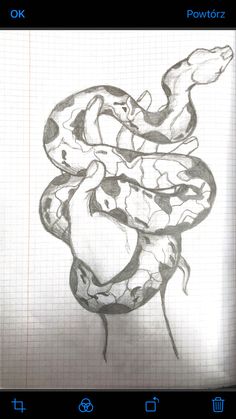 a pencil drawing of a snake on paper