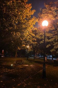 a street light in the middle of a park at night with leaves on the ground