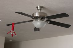 a ceiling fan with two red and black blades hanging from it's center blade