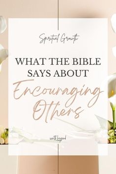 Succulents in a room and text that says What the Bible Says About Encouraging Others Faith Questions, Best Study Bible, Verses To Read, Christian Hospitality, Biblical Times, Hope In Jesus, Stages Of Life, Biblical Encouragement, Study Resources