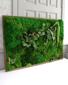 a moss covered wall in front of a door