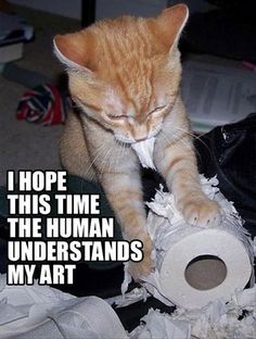 an orange and white cat playing with a roll of toilet paper that says, i hope this time the human understands my art