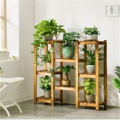 there are many potted plants on the shelves next to each other in this room