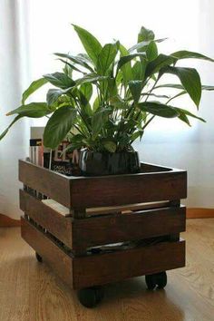 a potted plant sitting on top of a wooden crate