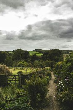 a dirt path leading to a lush green field