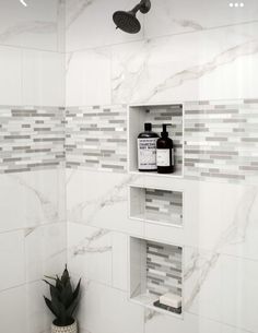 a white tiled bathroom with shelves holding personal care products and a succulent plant