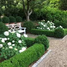 a white bench sitting in the middle of a garden