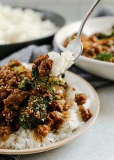 a close up of a plate of food with rice