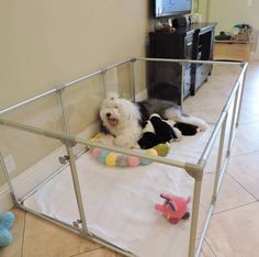 a dog laying on top of a bed in a room with white tile flooring