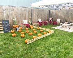 pumpkins laid out on the grass in front of a fence