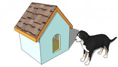 a black and white dog standing in front of a blue house with a brown roof