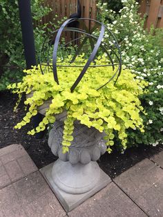 a planter filled with yellow flowers on top of a brick walkway next to a fence