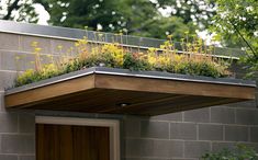 a green roof with plants growing on it