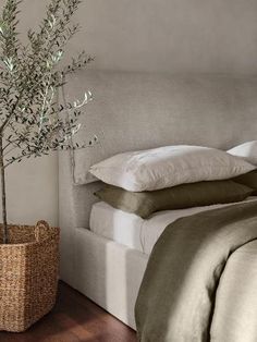 a bed with pillows and blankets next to a vase with an olive tree in it