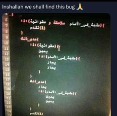 a computer screen with the words inshallah we shall find this bug