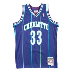 a basketball jersey with the number 33 on it, in purple and blue stripes is shown