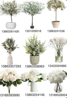 flowers are arranged in vases with numbers on the bottom and bottom, as well as plants