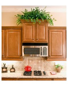 a kitchen with wooden cabinets and a potted plant on the top of the stove