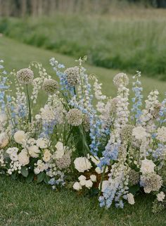 a bunch of flowers that are in the grass near each other on some kind of ground