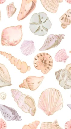 watercolor seashells and shells on a white background, seamless wallpaper