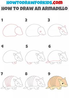 how to draw an armadillo step by step instructions for kids and beginners