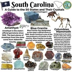 a poster with many different types of rocks and crystals on it's sides, including the name south carolina