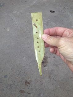 a person holding a piece of wood with holes in it