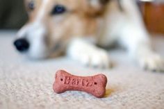 a dog laying on the floor next to a bone toy that says'love '